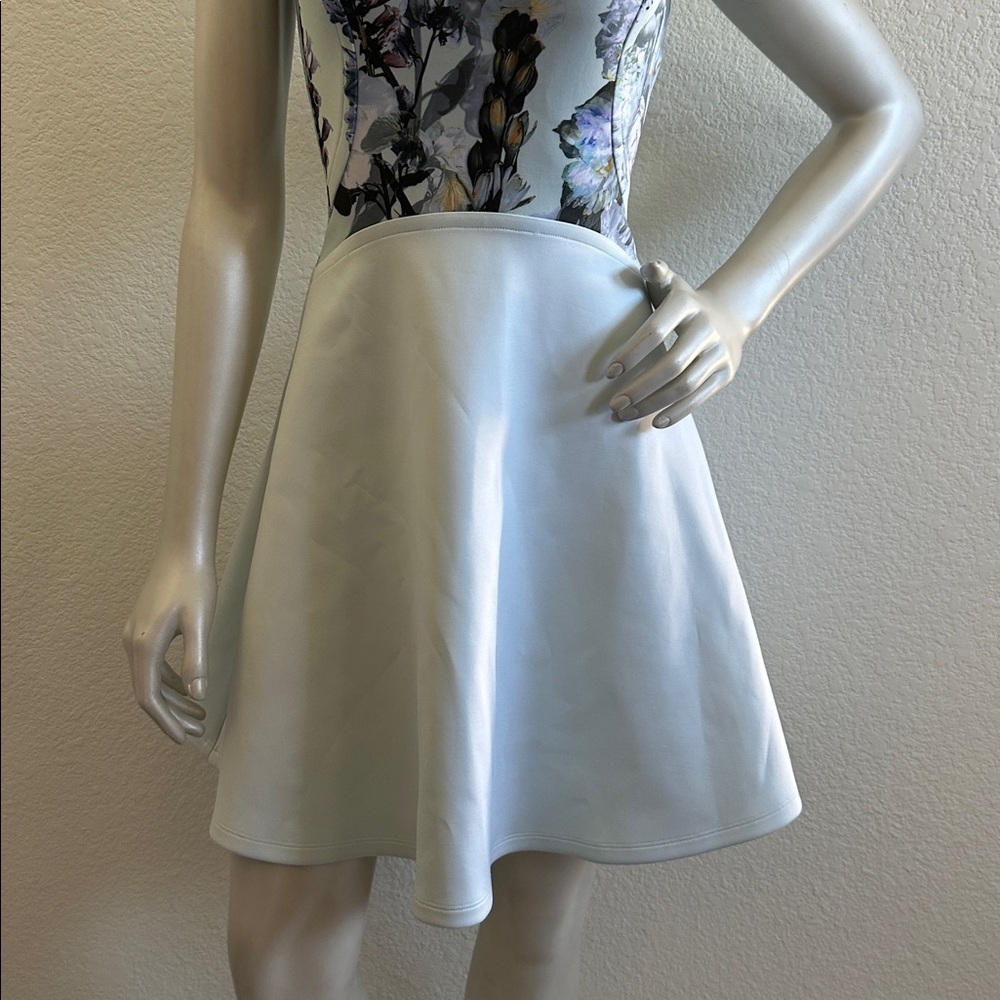 Ted Baker Faythe Blue Torchlit Floral Print Skater Dress View 5